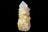 Sunshine Cactus Quartz Crystal - South Africa #80190-1